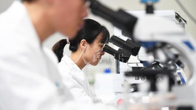 细胞培养基定制报价