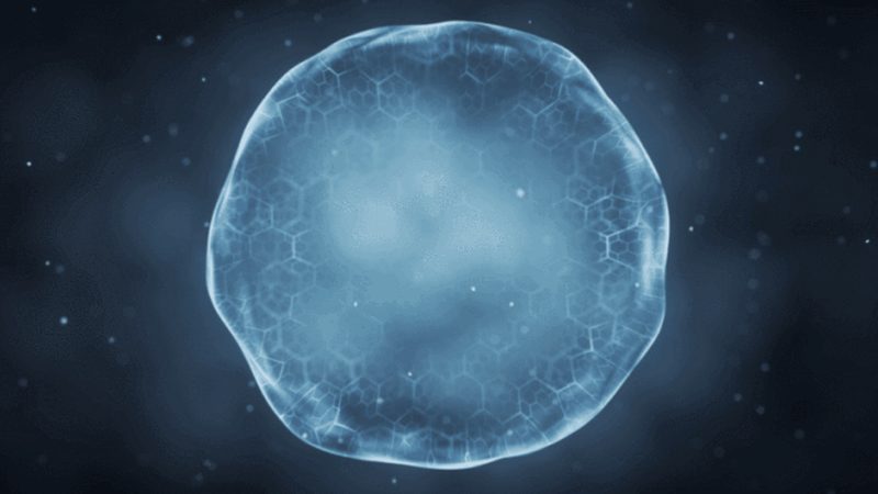 生物实验室装修：揭秘与普通装修的五大关键区别**