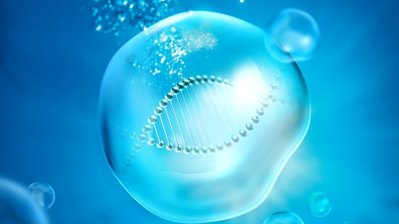 山东生物科技有限公司