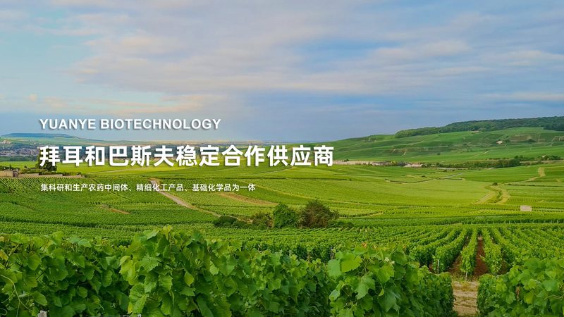 CHO细胞培养基使用，这些关键步骤不可忽视**