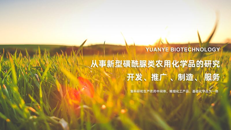 北京elisa试剂盒：精准检测的得力助手**