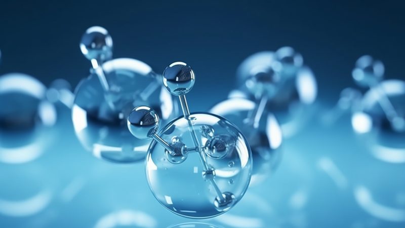 CDMO与CMO：项目评估中的关键区别解析