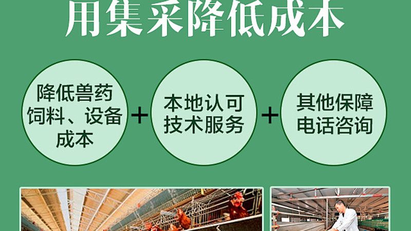 细胞培养实验室设备：如何避免操作失误与维护陷阱