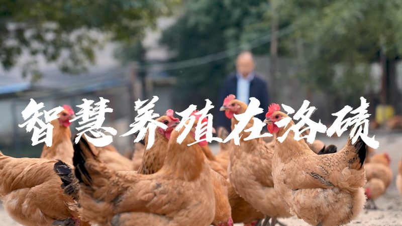 离心管选尺寸和容量，90%的人第一步就错了